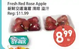 Fresh Palace Supermarket Fresh Red Rose Apple offer