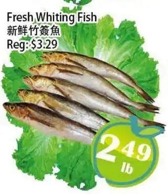 Food Depot Supermarket Fresh Whiting Fish offer