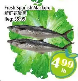 Food Depot Supermarket Fresh Spanish Mackerel offer