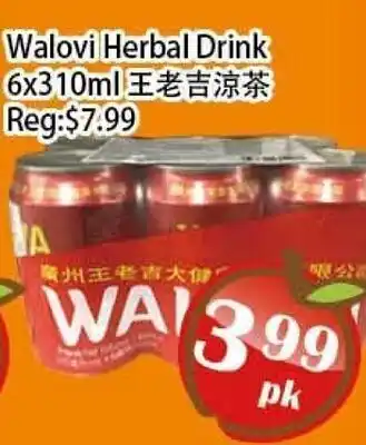 Food Depot Supermarket Walovi Herbal Drink offer