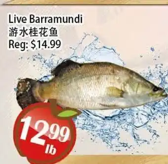 Food Depot Supermarket Live Barramundi offer