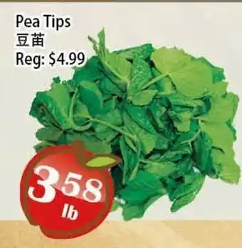 Food Depot Supermarket Pea Tips offer