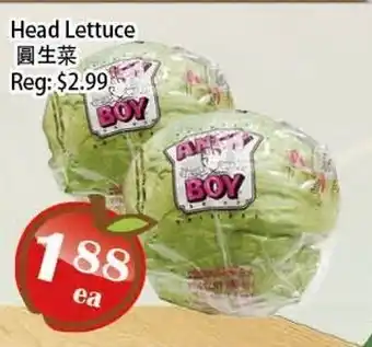 Food Depot Supermarket Head Lettuce offer