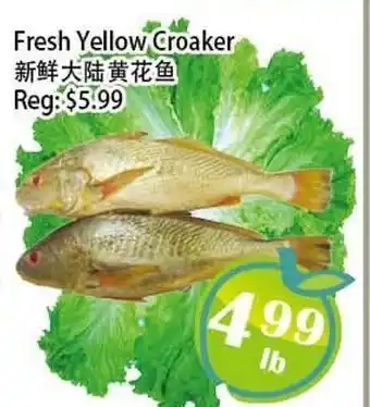 Food Depot Supermarket Fresh Yellow Croaker offer