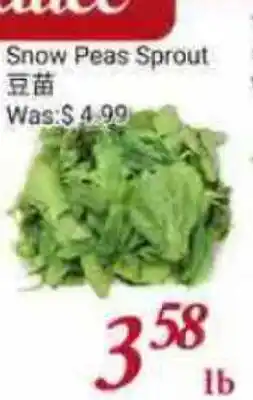 Tone Tai Supermarket Snow Peas Sprout offer