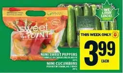 Food Basics Mini Sweet Peppers and Mini Cucumbers offer