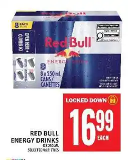 Food Basics RED BULL ENERGY DRINKS offer