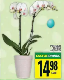Food Basics 5” PREMIUM ORCHIDS offer