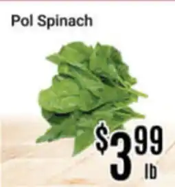 Nations Fresh Foods Pol Spinach offer