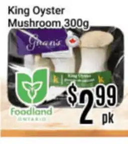 Nations Fresh Foods King Oyster Mushroom offer