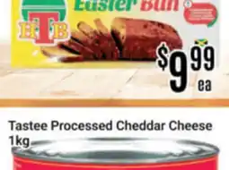 Nations Fresh Foods Tastee Processed Cheddar Cheese offer