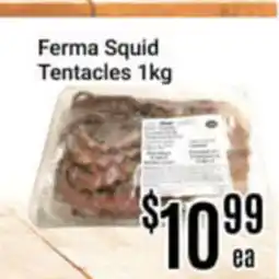 Nations Fresh Foods Ferma Squid Tentacles offer
