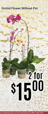 Nations Fresh Foods Orchid Flower Without Pot offer