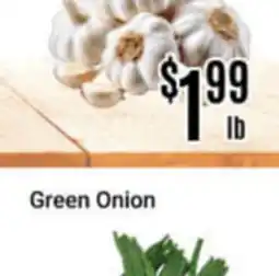 Nations Fresh Foods Green Onion offer