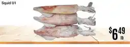 Nations Fresh Foods Squid U1 offer