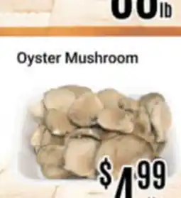 Nations Fresh Foods Oyster Mushroom offer