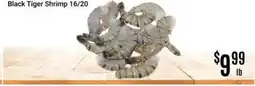 Nations Fresh Foods Black Tiger Shrimp 16/20 offer