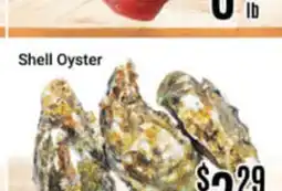 Nations Fresh Foods Shell Oyster offer