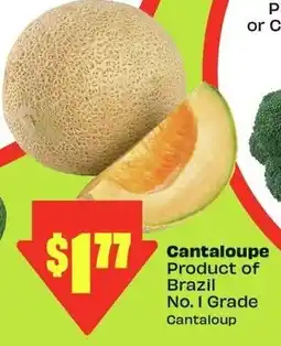 FreshCo Cantaloupe offer