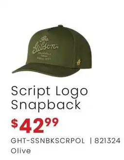 Long & McQuade Script Logo Snapback offer