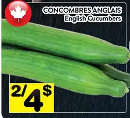 Supermarché PA CONCOMBRES ANGLAIS | English Cucumbers offer