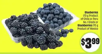 FreshCo Blueberries offer