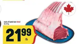 Marché Adonis Rack of lamb loin Halal offer