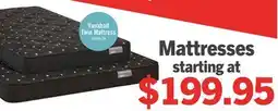The Brick Springwall Advance Vauxhall Tight Top Firm Twin Mattress offer