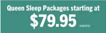 The Brick Masterguard Bamboo Queen Mattress Protector with 2 Queen Pillows offer