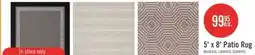 The Brick 5' x 8' Patio Rug offer