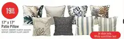 The Brick 17 x 17 Patio Pillow offer