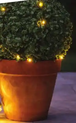Giant Tiger Topiary solar ball offer