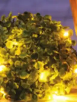 Giant Tiger Topiary solar ball offer