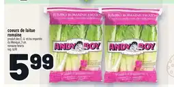 Metro COEURS DE LAITUE ROMAINE | ROMAINE HEARTS offer