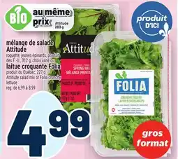 Metro MÉLANGE DE SALADE ATTITUDE | ATTITUDE SALAD MIX OR FOLIA CRUNCHY LETTUCE offer
