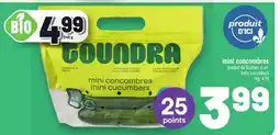 Metro MINI CONCOMBRES | BABY CUCUMBERS offer