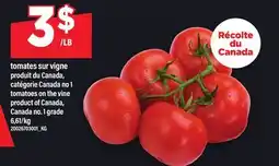 Maxi TOMATES SUR VIGNE | TOMATOES ON THE VINE offer