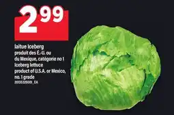 Maxi LAITUE ICEBERG | ICEBERG LETTUCE offer