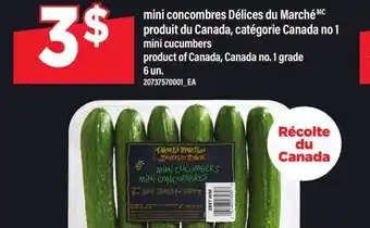 Maxi mini concombres Délices du Marché | mini cucumbers, 6 un offer