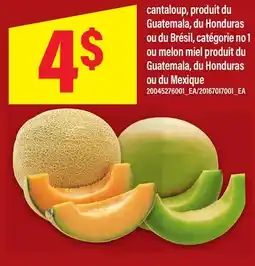 Maxi CANTALOUP OU MELON MIEL offer