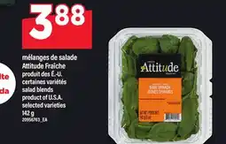 Maxi MÉLANGES DE SALADE ATTITUDE FRAÎCHE | SALAD BLENDS offer