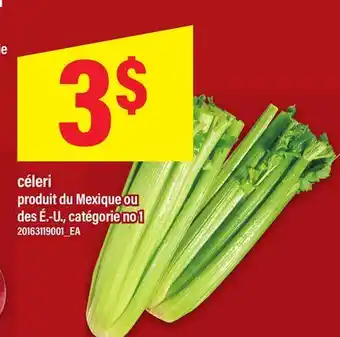 Maxi CÉLERI offer