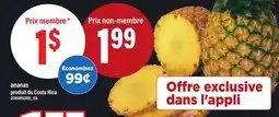 Maxi ANANAS offer