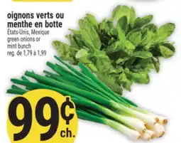 Marché Adonis OIGNONS VERTS OU MENTHE EN BOTTE | GREEN ONIONS OR MINT BUNCH offer