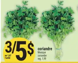 Marché Adonis CORIANDRE | CORIANDER offer