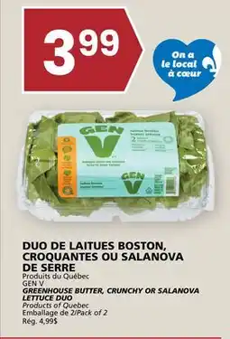 Rachelle-Bery Grocery GEN V GREENHOUSE BUTTER, CRUNCHY OR SALANOVA LETTUCE DUO offer