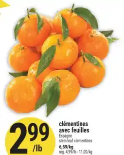 Marché Adonis CLÉMENTINES AVEC FEUILLES | STEM LEAF CLEMENTINES offer