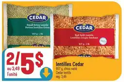 Marché Adonis lentilles Cedar | Cedar lentils offer