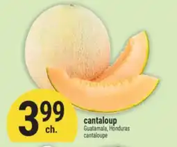 Marché Adonis Cantaloup | Cantaloupe offer