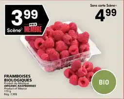 Rachelle-Bery Grocery ORGANIC RASPBERRIES offer